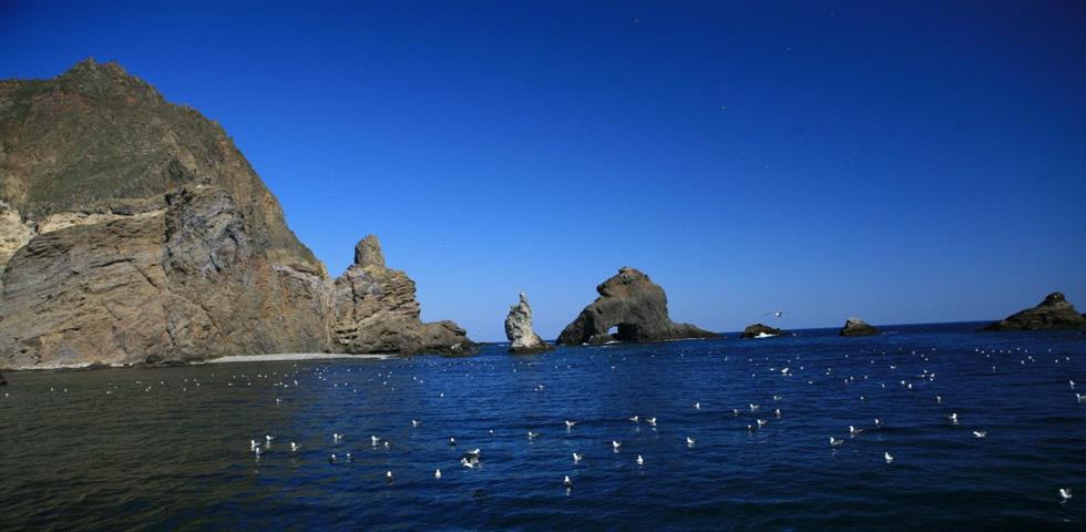 독도