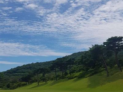 보성