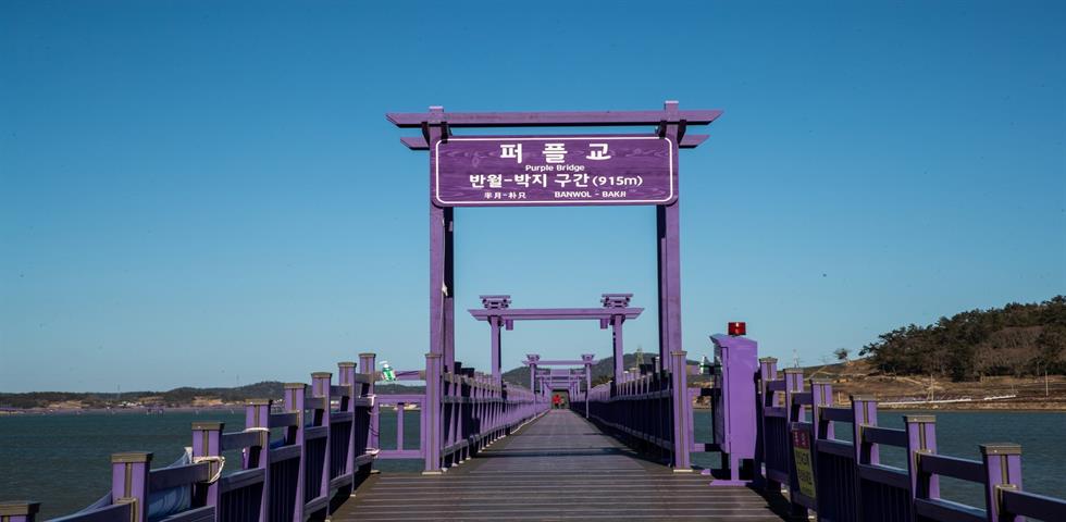 퍼플섬