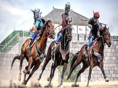 더마파크 980*490