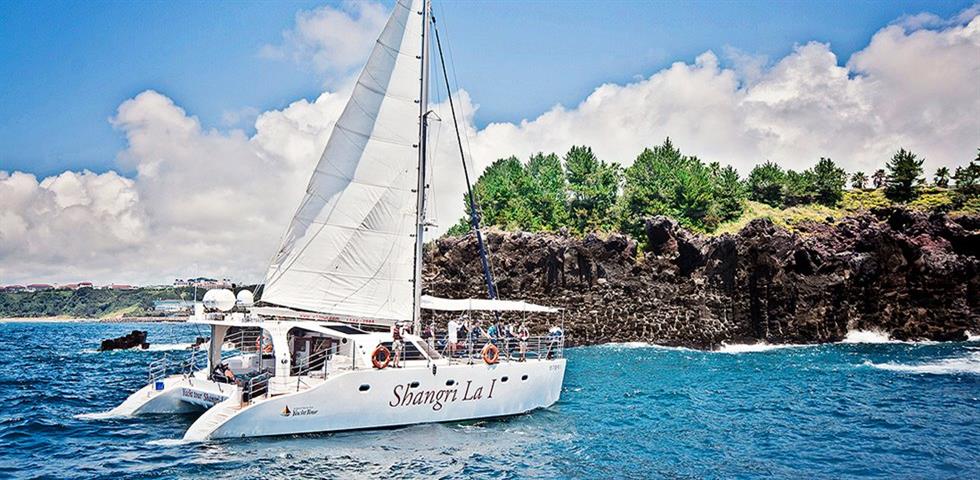 샹그릴라요트980*490