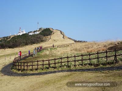 [Very Good Jeju] 비양도+우도 한상차림 3일