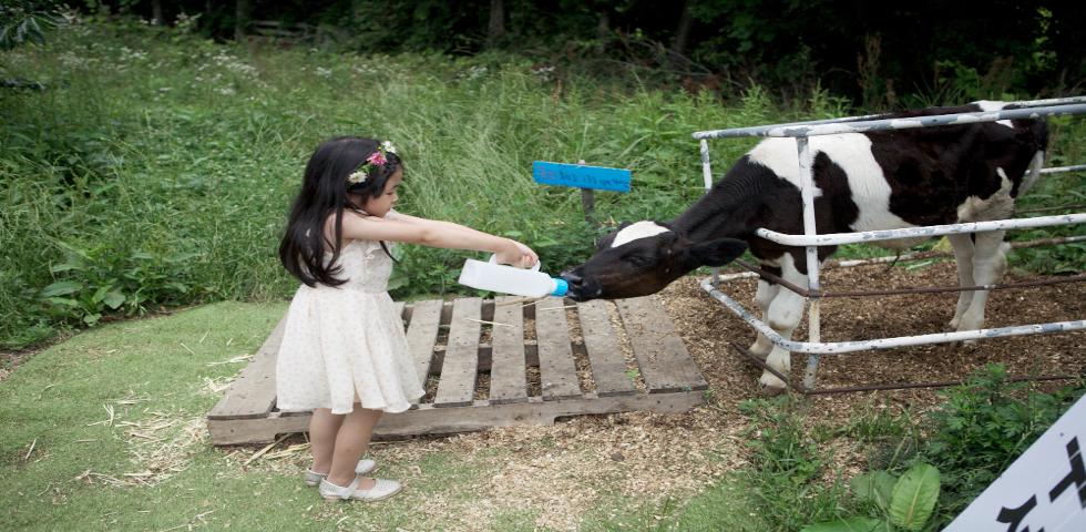 아침미소목장