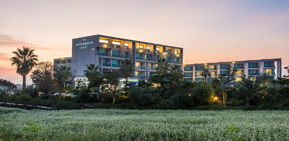 더 포 그레이스제주