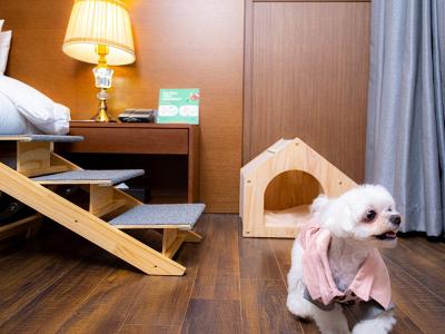 다인오세아노호텔(펫)