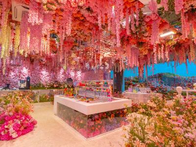 수퍼플라워 제주