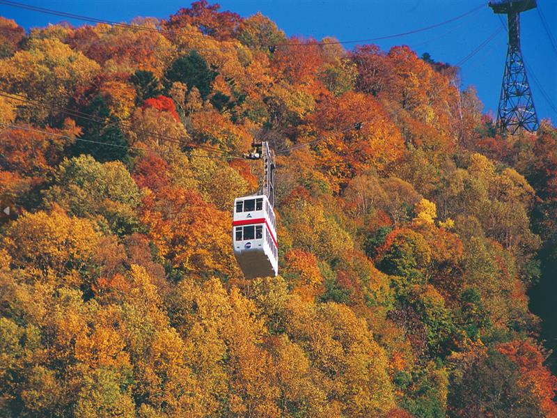신호다카 로프웨이 (가을)