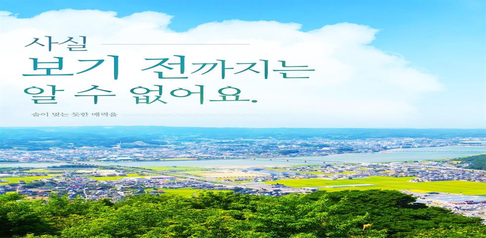 도야마기획전