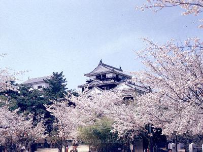 마쯔야마 성