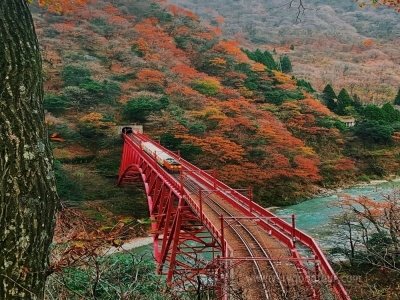 가을_기차여행