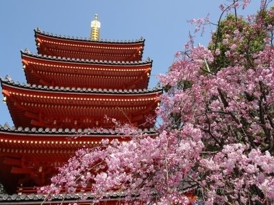 [봄,벚꽃여행][료칸/가이세키식] 규슈 4일 (기사가이드경비+자유식비 포함)