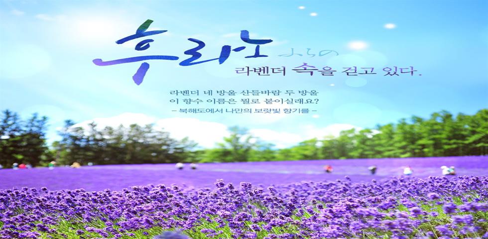 북해도 여름기획전