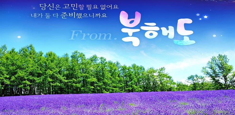 라벤더 기획전1