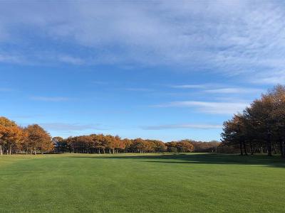 도마코마이72(4)