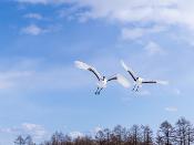 쿠시로 습원 국립공원