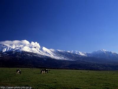 일본 홋카이도 216