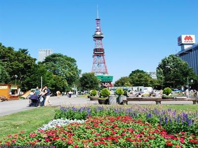 일본 홋카이도 225