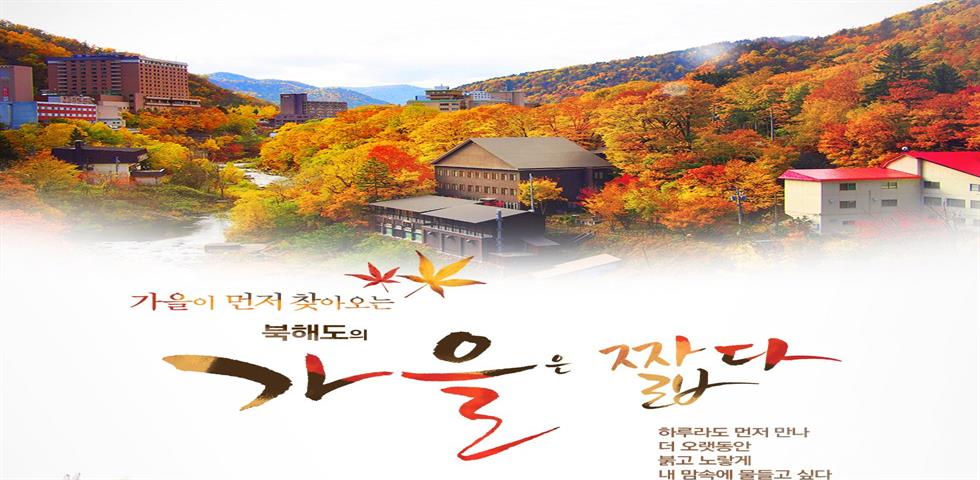 북해도 가을 기획전