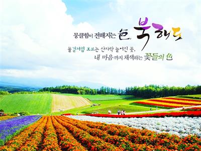 북해도 기획전 여름 동훈