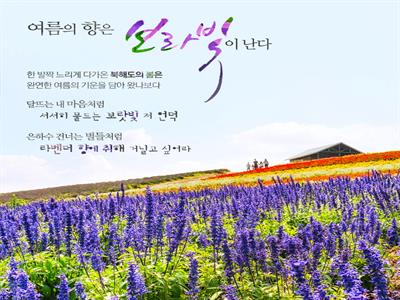 북해도 여름향기획전