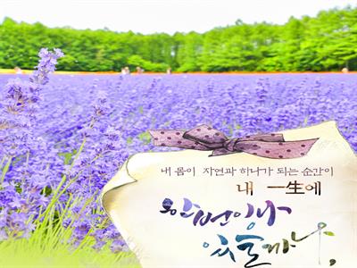 북해도내일생기획전