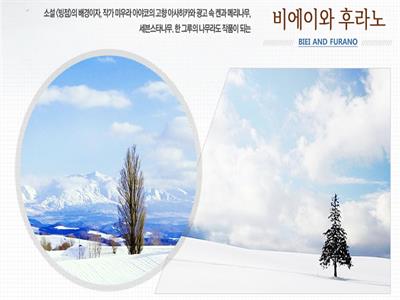 겨울 북해도 기획전