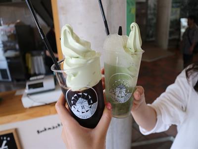 쇼도시마