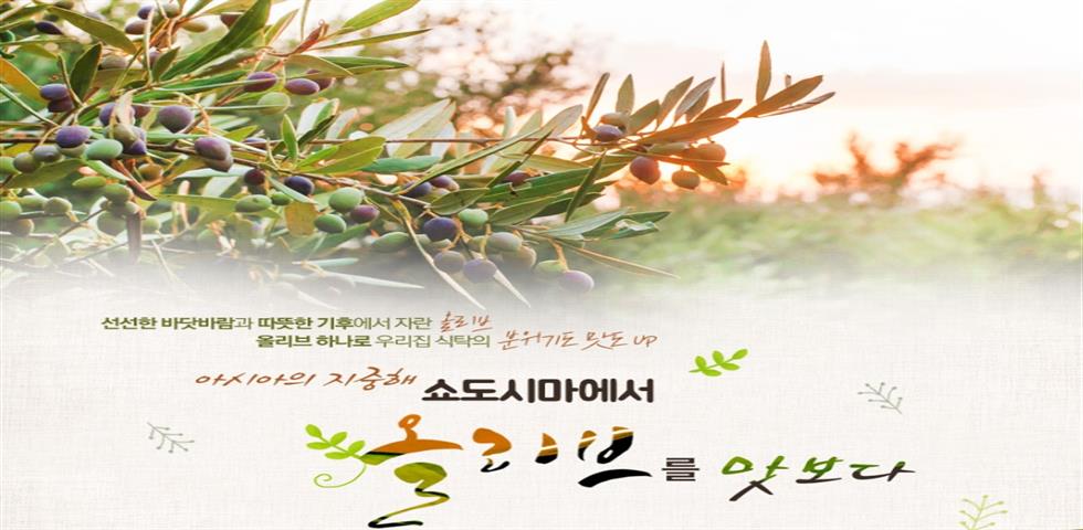 TAK 올리브