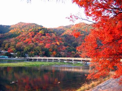 도게츠교(가을)