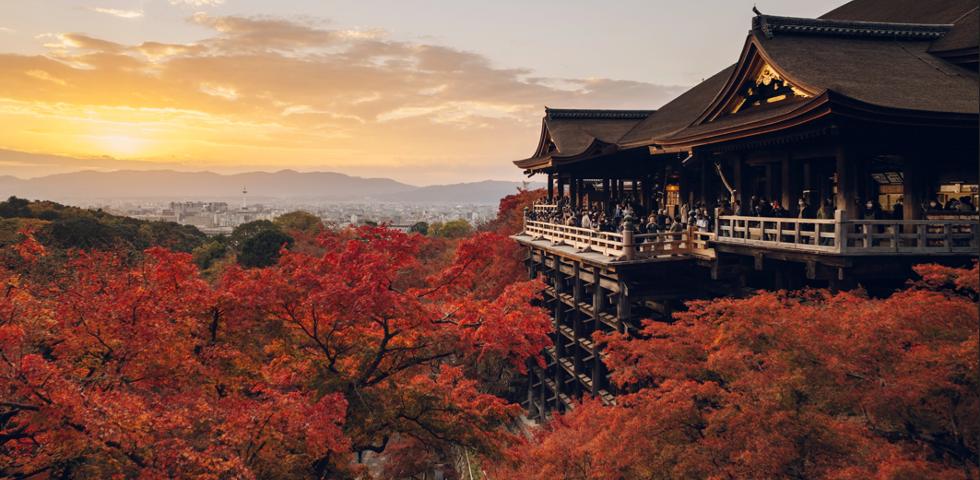 가을 청수사 1