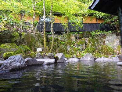 고코노에 유유테이