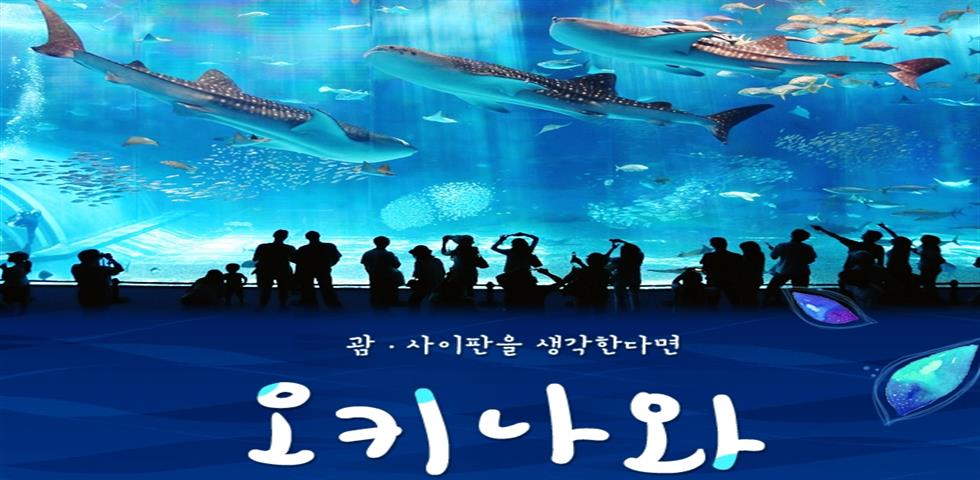 오키나와 기획전