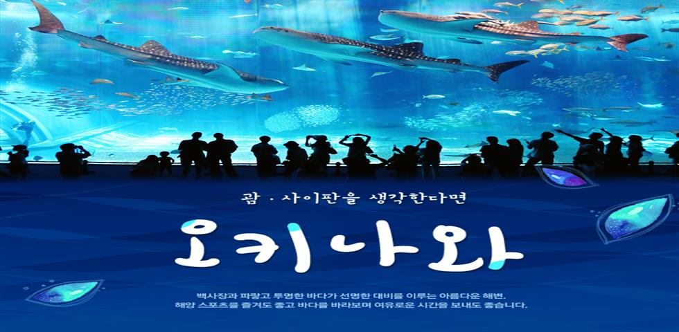 괌 사이판을 생각한다면 오키나와 기획전