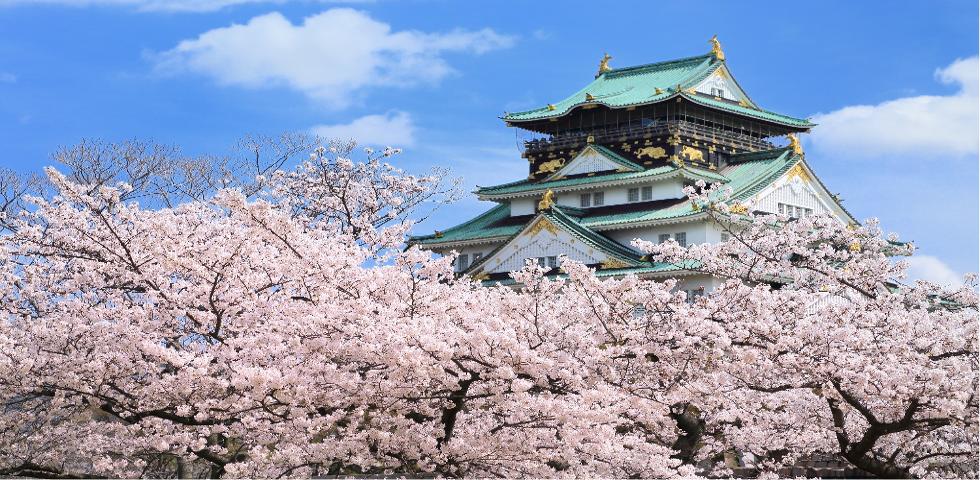 오사카성 벚꽃2