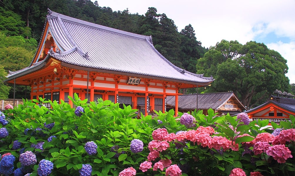 ■초특가■[고베 직항/시내호텔 3연박] 오사카 핵심 4일_[교토교엔/나라요시키엔/이코마 케이블카/팁포함] (진에어) 6