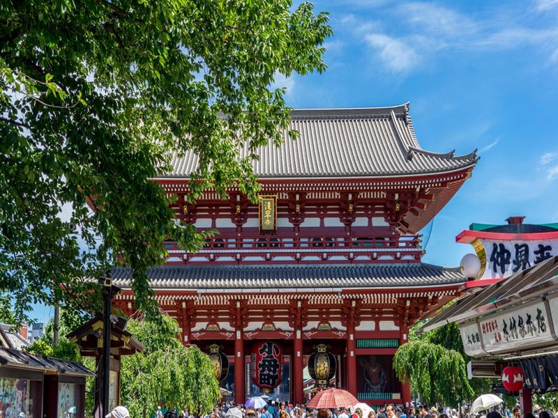 [하코네의 겨울, 산악열차] 동경/하코네/오다이바 3일 [팁포함]