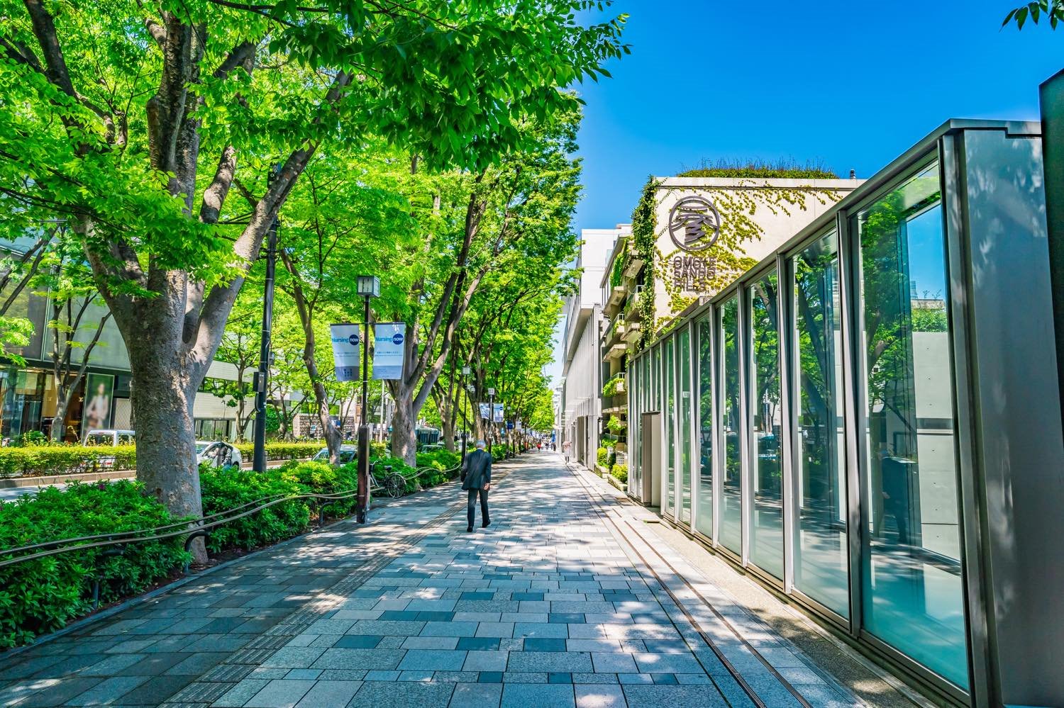 ●선착순할인● [하코네의 가을 산악열차] 동경/하코네/오다이바 3일 [팁포함] (이스타항공) 6