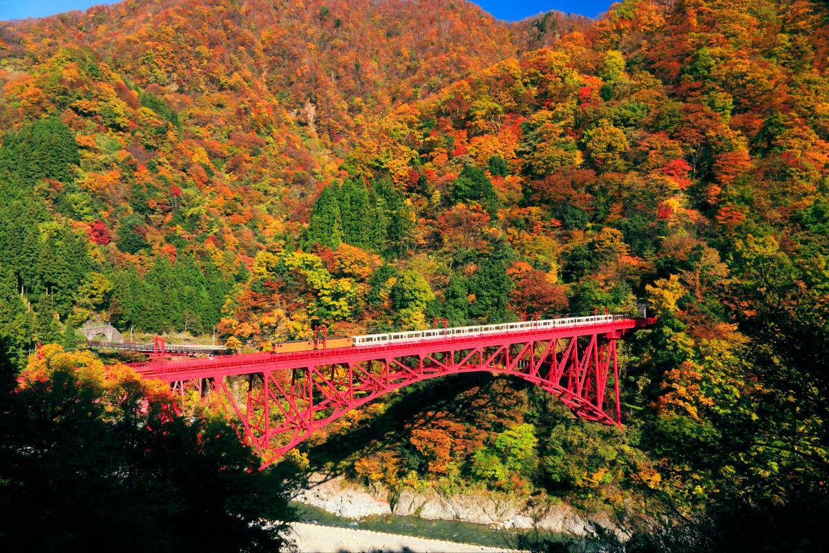 [도야마 직항/온통 가을입니다] 도야마 알펜루트 4일_[천연온천/도롯코 열차/팁포함] (티웨이항공) 7