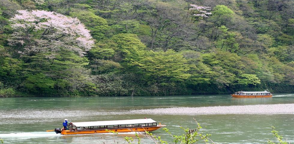 모가미가와 뱃놀이