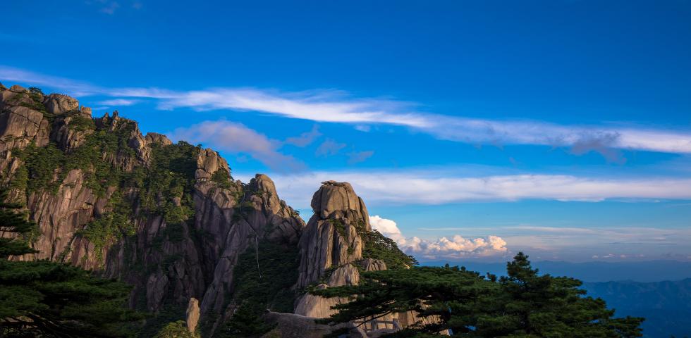 황산메인
