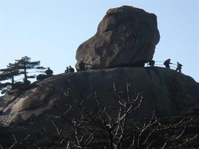 비래석