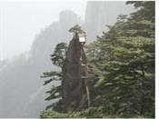 몽필생화
