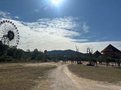 사파리