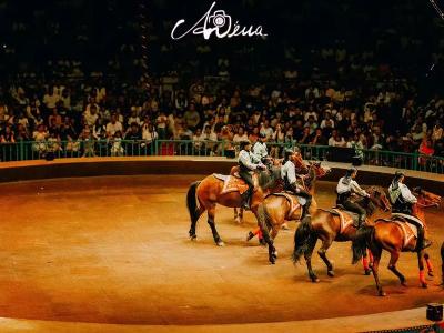 마트료시카 대마술 공연