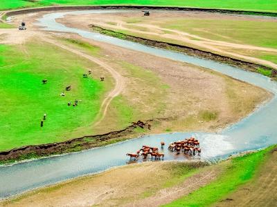 후룬베이얼 초원
