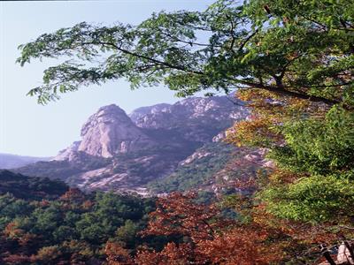 태산 가을사진