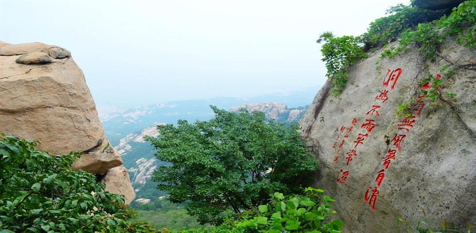 청도노산양구
