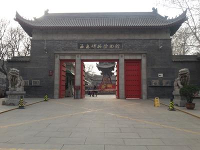 비림