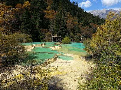 황용
