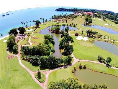 팜스프링골프장